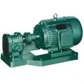 Good Quanlity Hebei Best Supplier Gear Pump